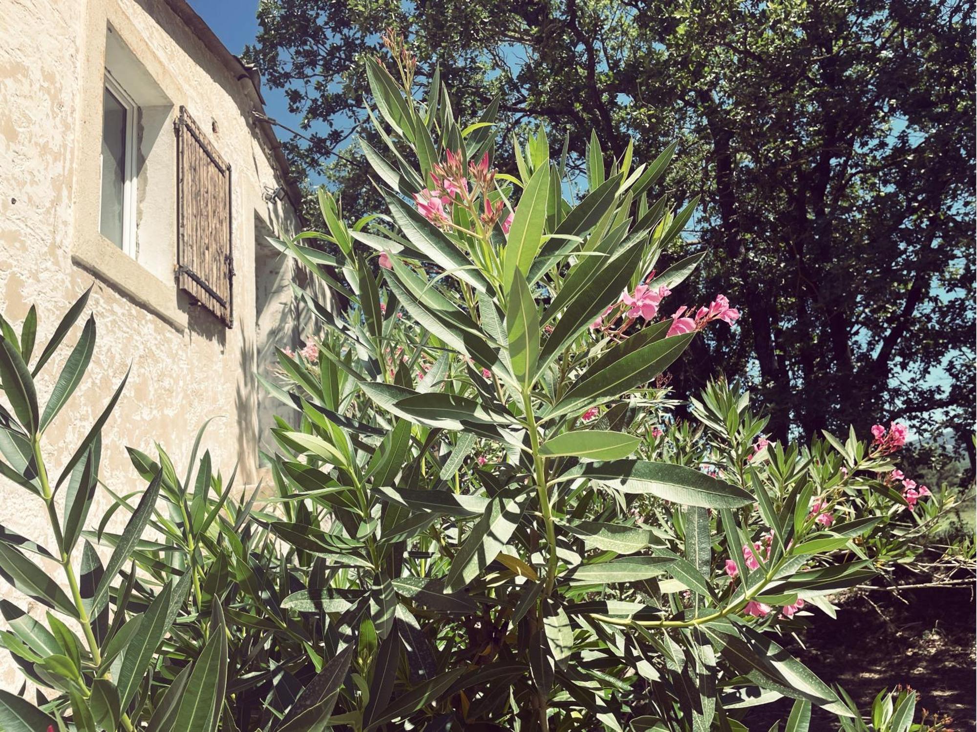 Appartement A La Campagne LʼIsle-sur-la-Sorgue 외부 사진